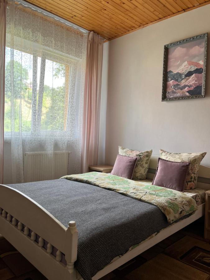 Hotel Ніч Над Карпатами Slawske Exterior foto